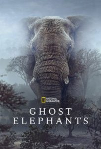 دانلود فیلم فیل‌های شبح‌گونه Ghost Elephants 2026